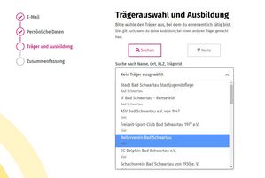 Bildschirmausschnitt auf dem "Trägerauswahl" zu sehen ist.